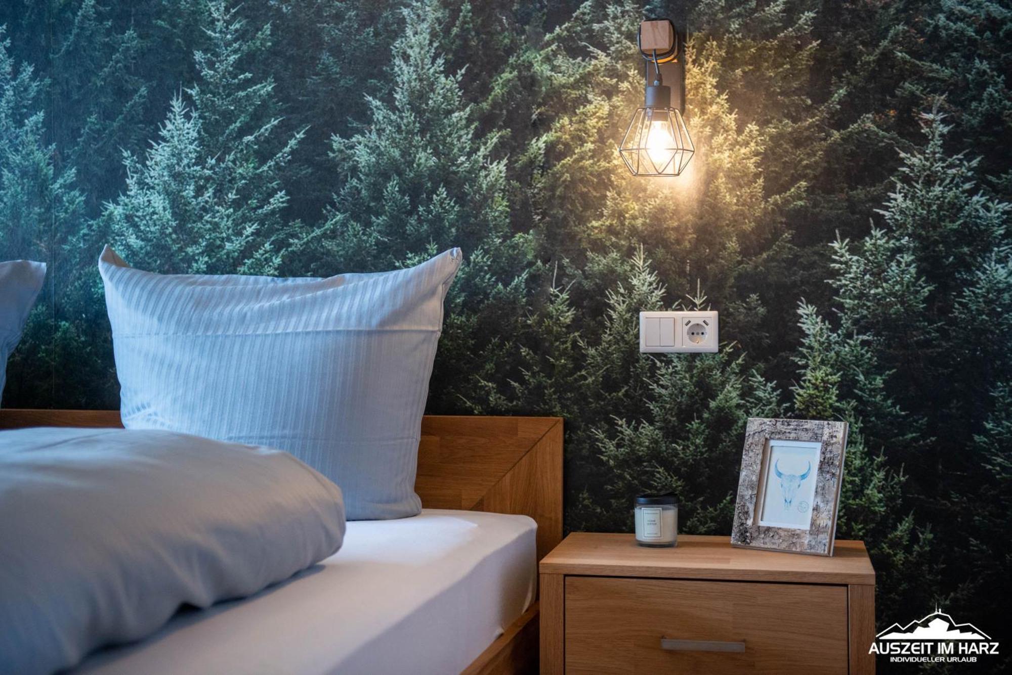 Auszeit-Im-Harz Haus 3 Wohnung 4 Braunlage Ngoại thất bức ảnh